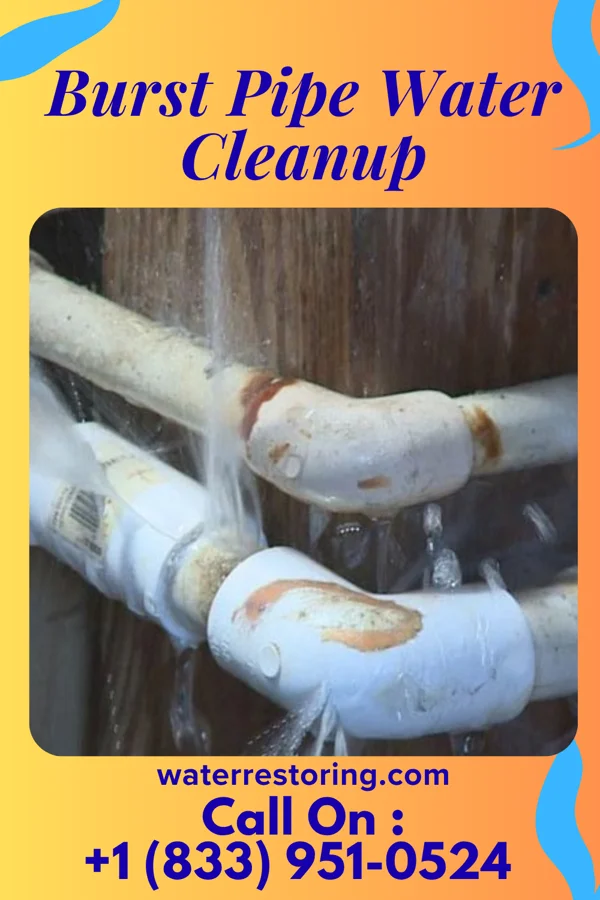 Burst Pipe Water Cleanup in Frohna, MO
