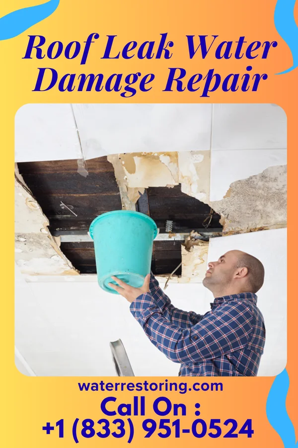 Roof Leak Water Damage Repair in Frohna, MO