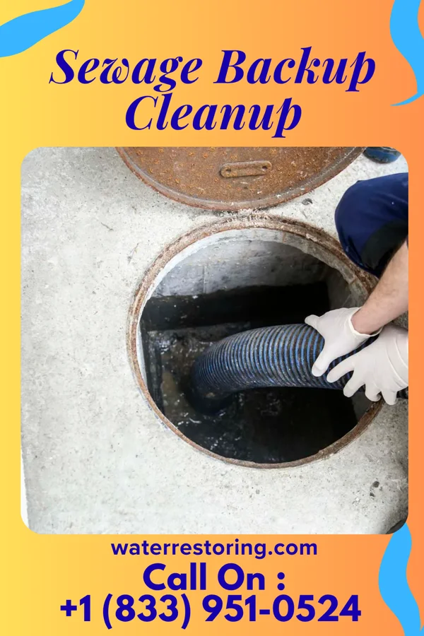 Sewage Backup Cleanup in Frohna, MO